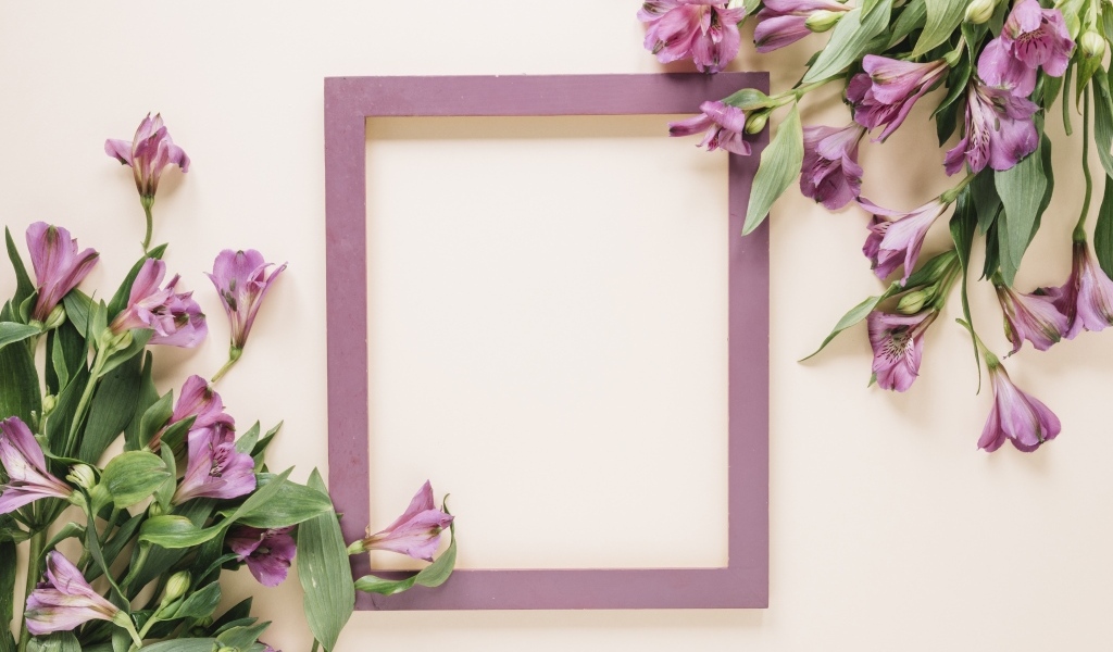 Цветы альстромерии на белом фоне с рамкой