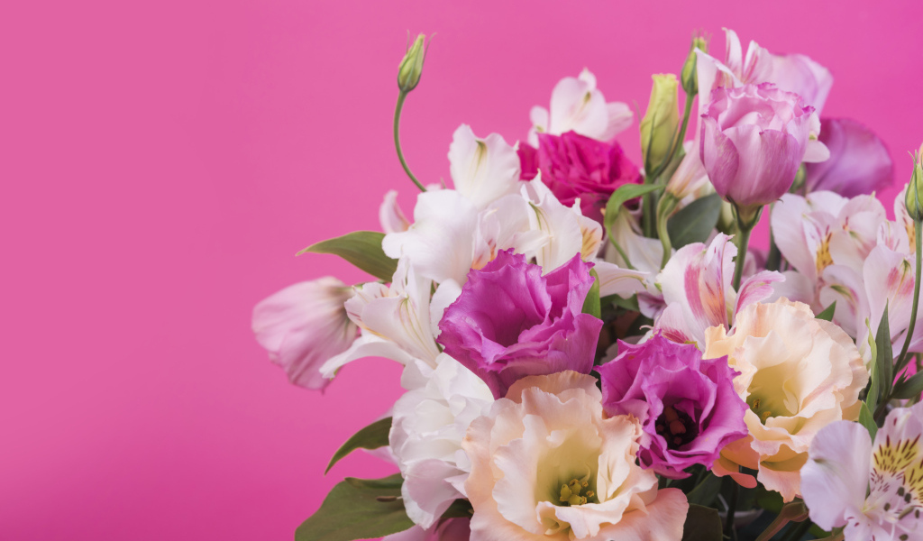 Красивый букет разноцветных цветов эустомы на розовом фоне