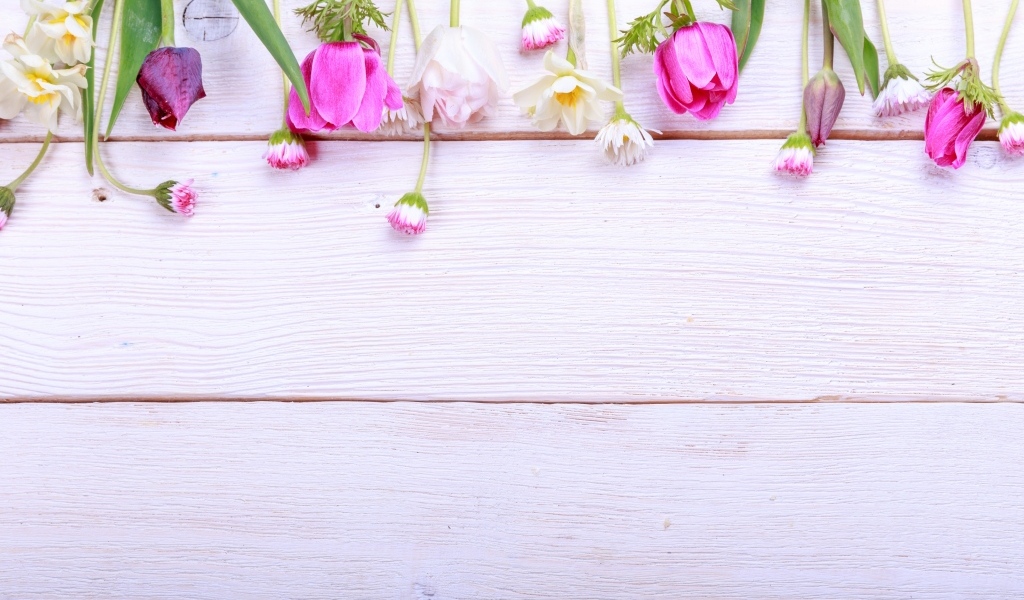 Красивые разноцветные весенние цветы на деревянном фоне