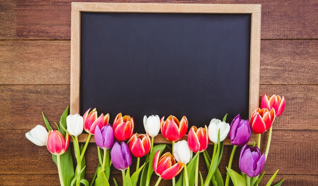 Красивые разноцветные тюльпаны с рамкой на деревянном столе