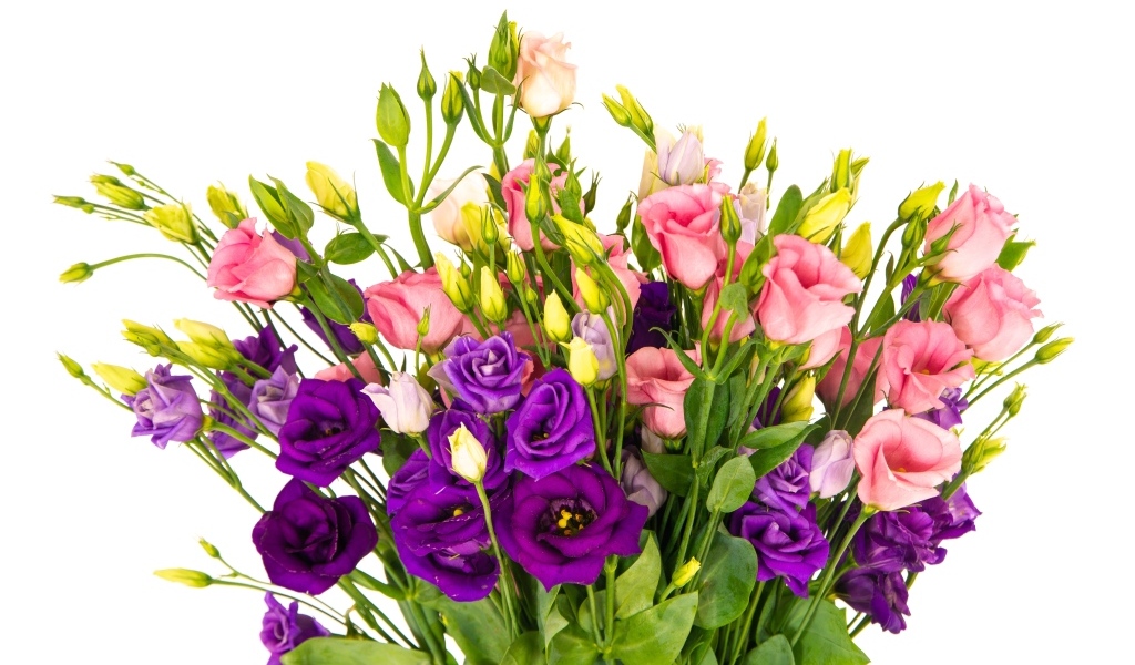 Букет красивых разноцветных цветов эустомы