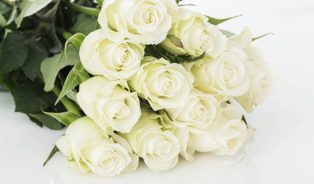 Букет шикарных белых  роз 