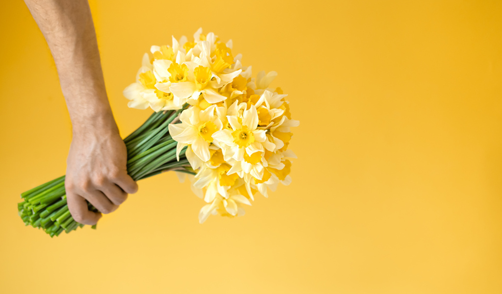 Букет нарциссов в руке на желтом фоне