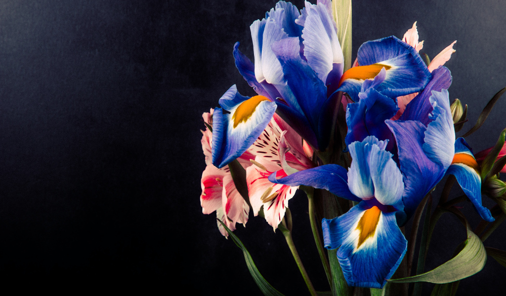 Букет цветов ириса и альстромерии на черном фоне