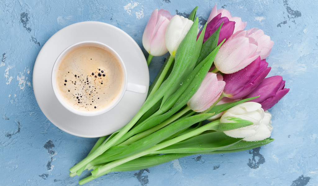 Букет разноцветных тюльпанов с чашкой кофе на голубом столе