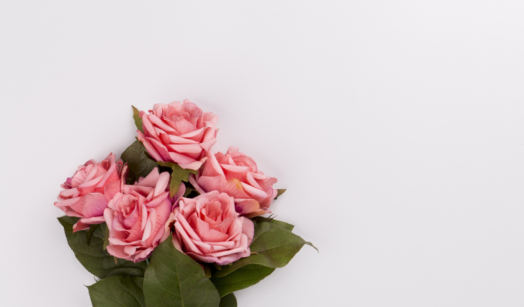 Букет розовых роз на сером фоне, шаблон 