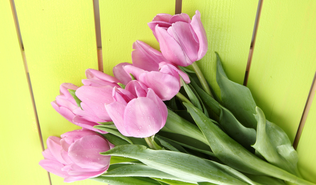 Букет розовых тюльпанов на желтом фоне