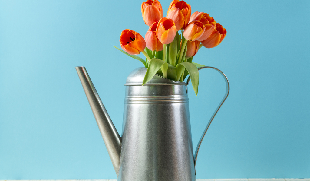 Букет тюльпанов в металлической лейке на голубом фоне