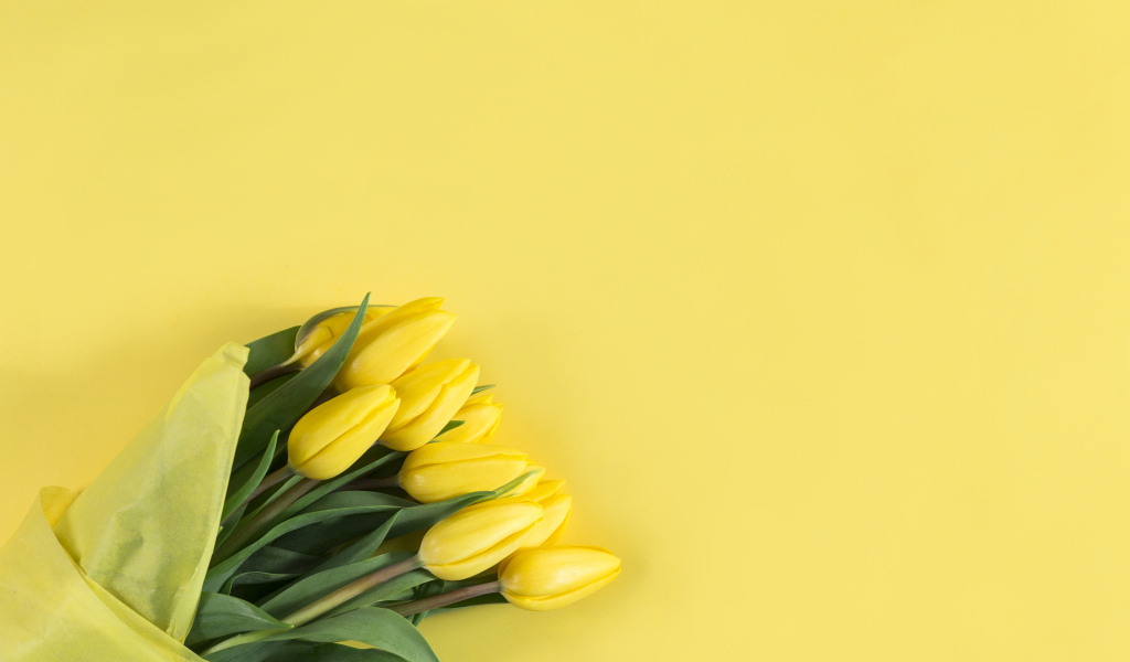 Букет желтых тюльпанов в бумаге на желтом фоне