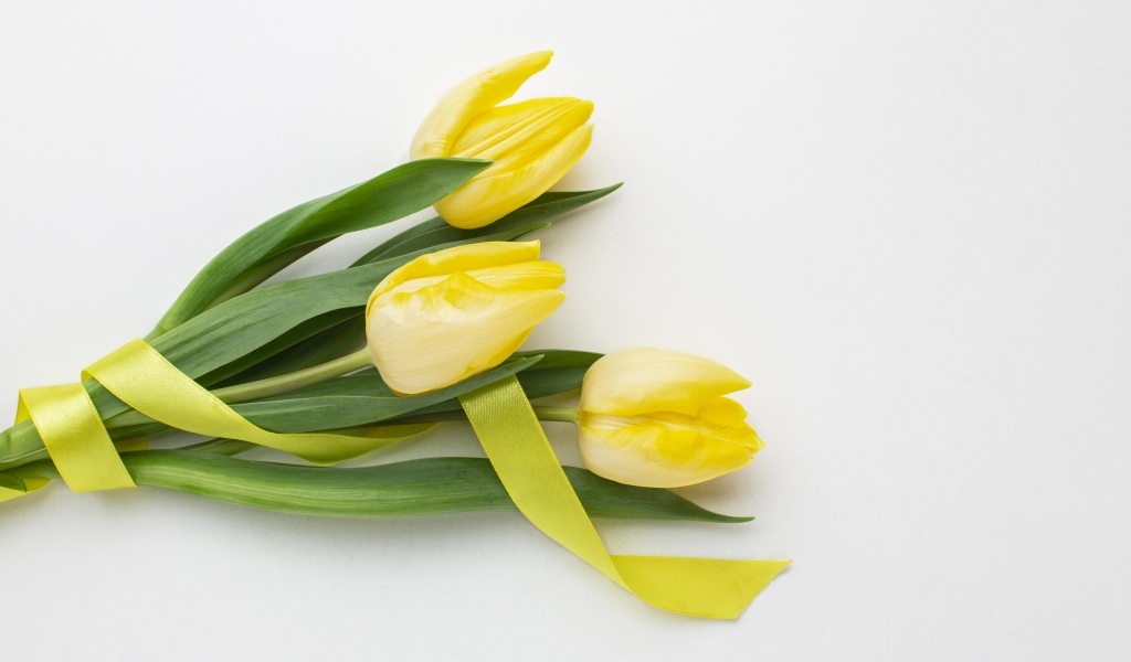 Букет желтых тюльпанов с ленточкой на сером фоне