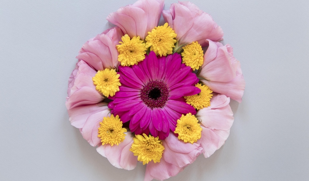 Круг из нежных цветов на сером фоне