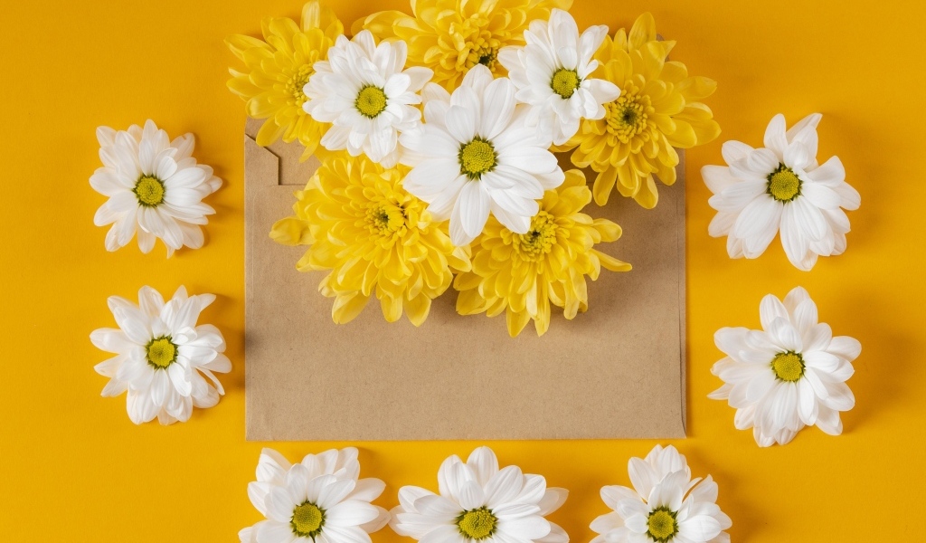 Конверт с желтыми и белыми хризантемами на желтом фоне