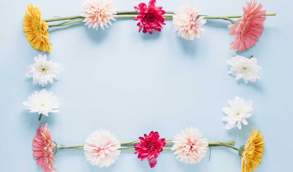 Рамка из разноцветных цветов на голубом фоне