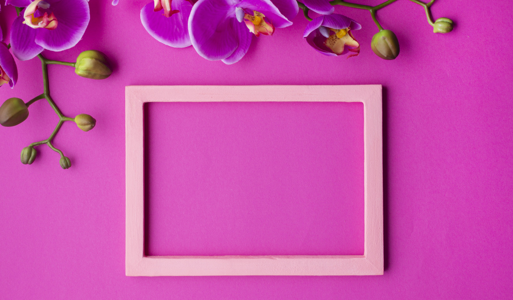 Рамка на розовом фоне с цветами орхидеи, шаблон для открытки