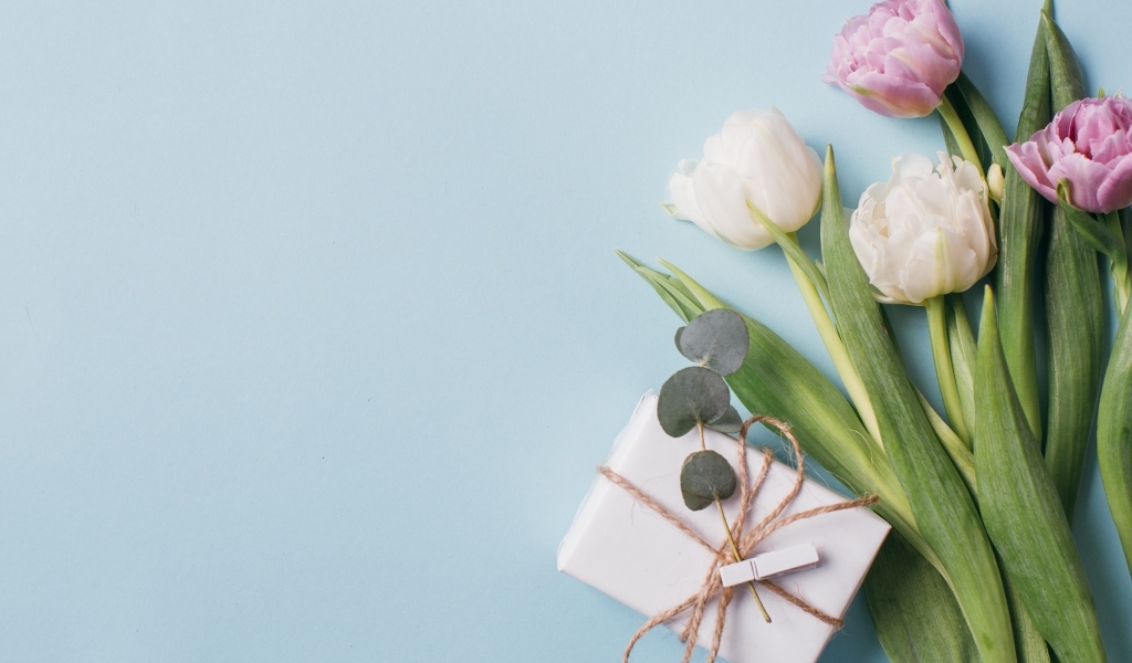Подарок с тюльпанами на голубом фоне