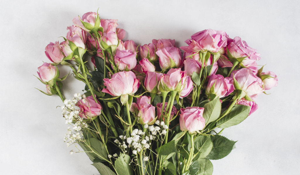 Большой букет розовых роз на сером фоне