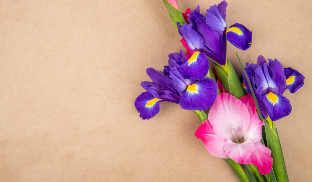 Сиреневые ирисы и гладиолусы на коричневом фоне