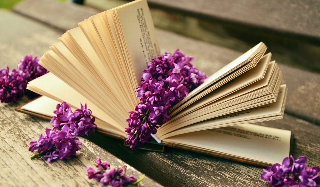 Открытая книга с цветами сирени