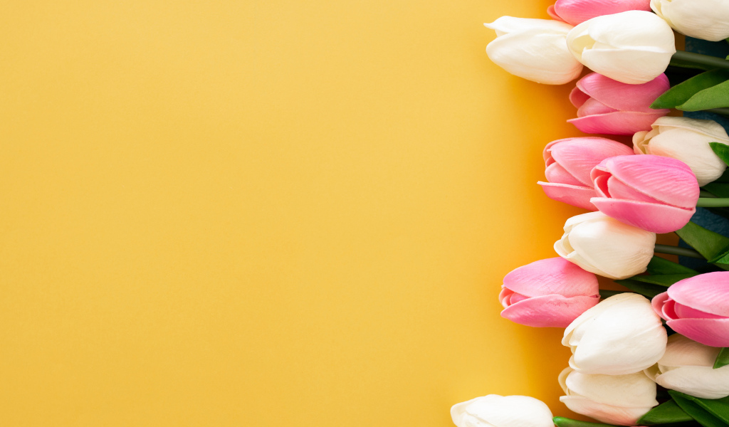 Розовые и белые тюльпаны на желтом фоне, шаблон для открытки