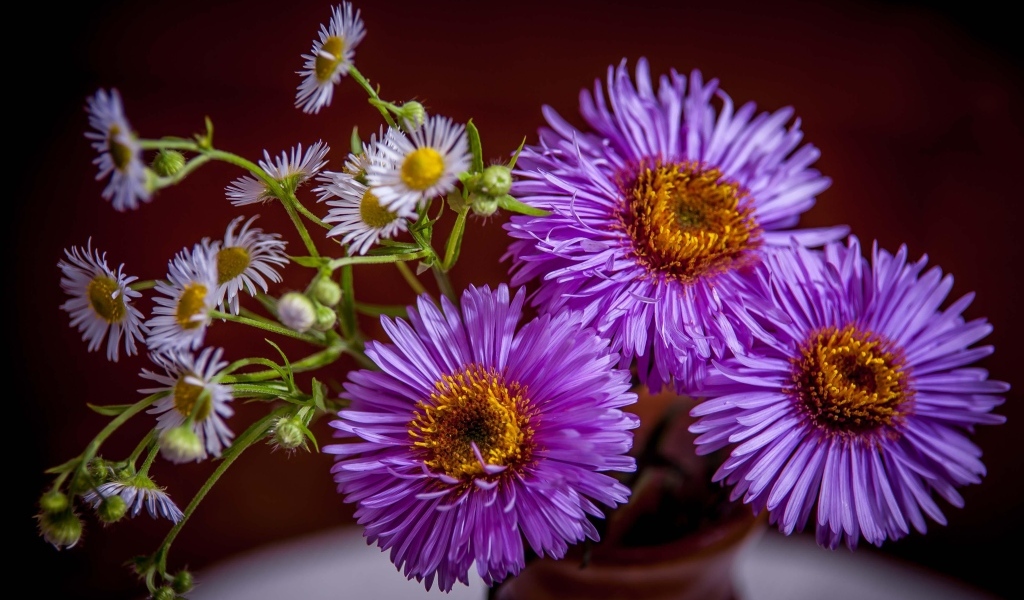 Розовые осенние цветы сентябринка в вазе