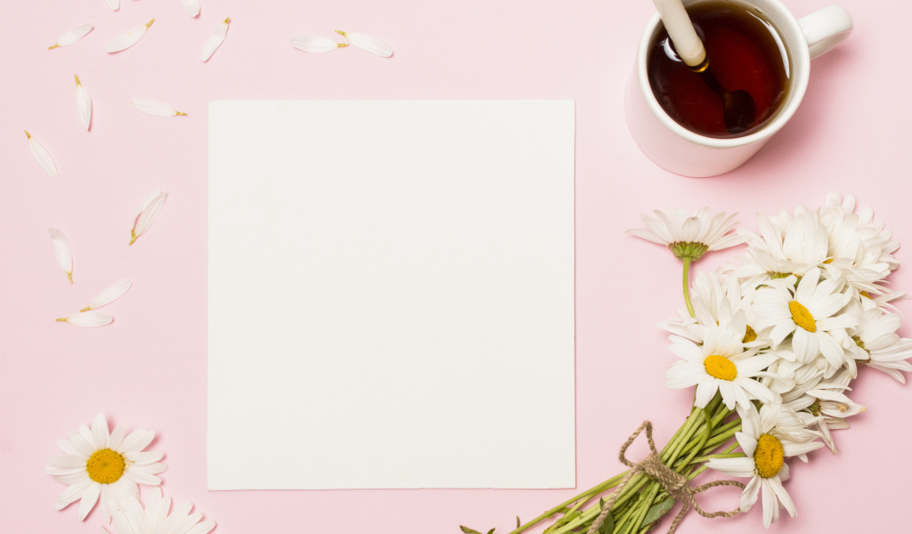 Розовый фон с ромашками, чашкой чая и белым листом бумаги, шаблон