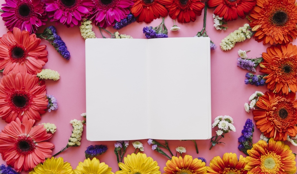 Розовый фон с герберами и белым листом для открытки