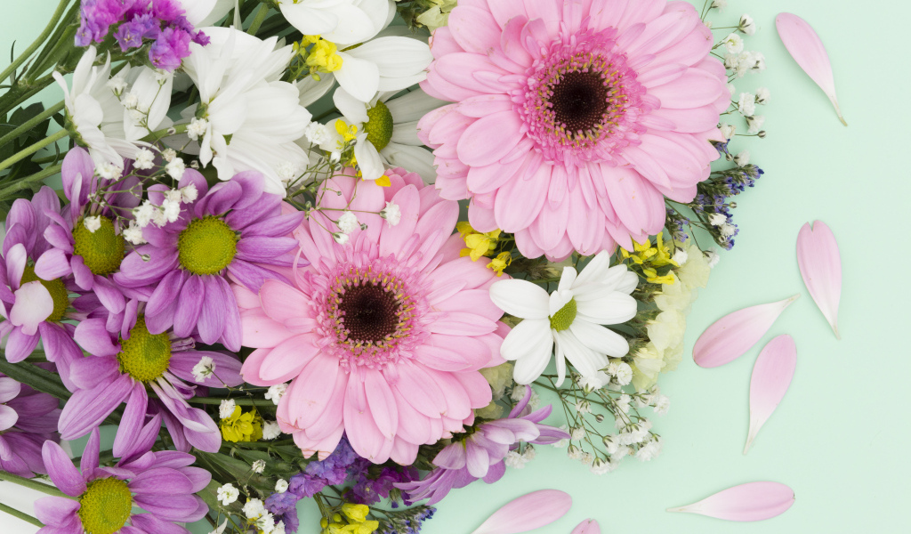 Розовые герберы и цветы хризантемы на голубом фоне