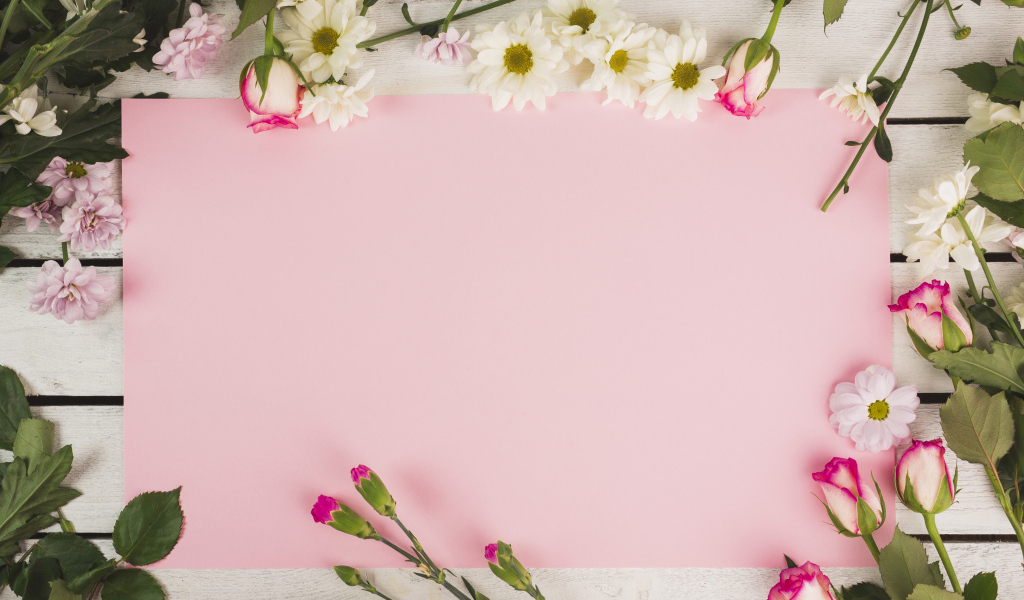 Розовый лист бумаги для открытки с цветами хризантемы