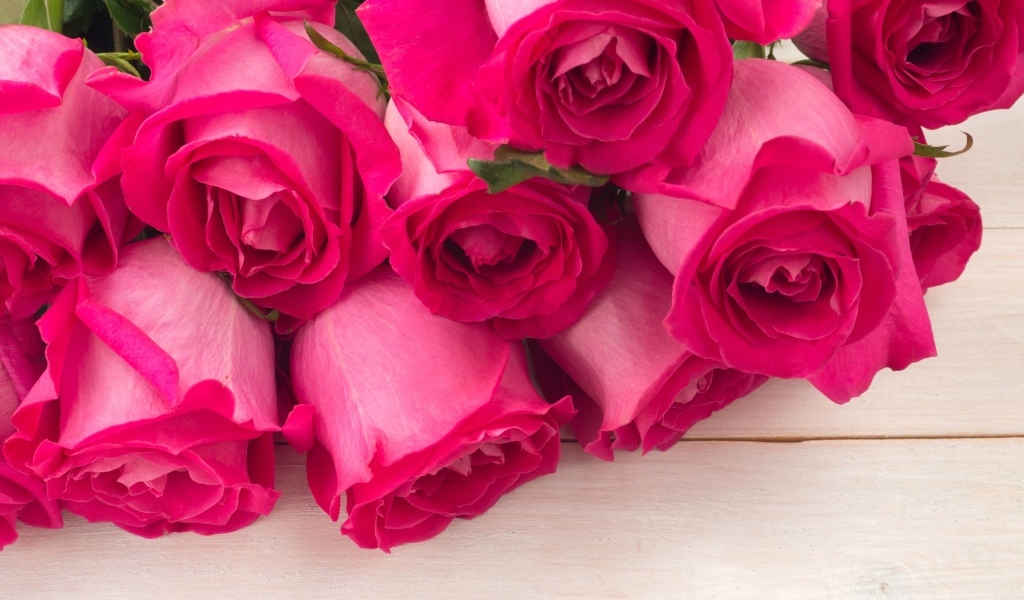 Бутоны розовых роз крупным планом