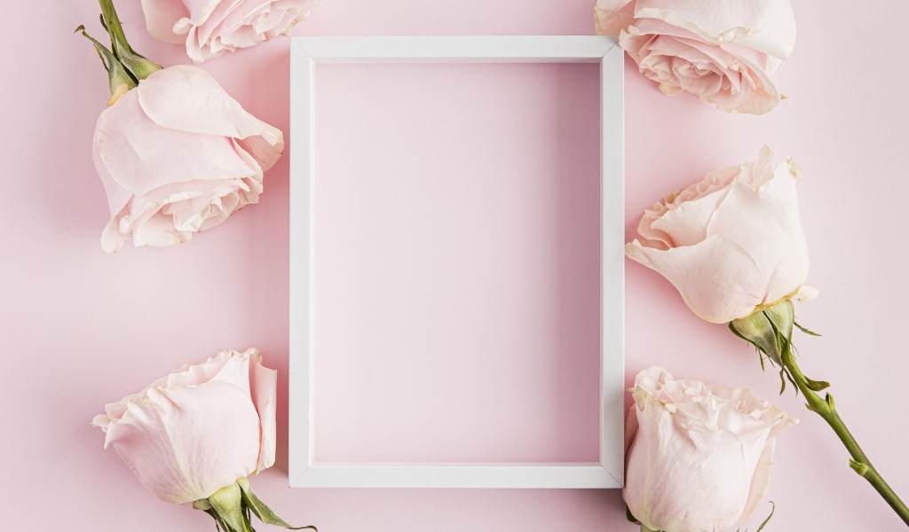 Розовые розы с белой рамкой для открытки
