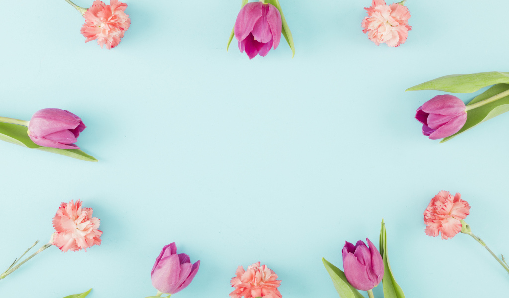 Розовые тюльпаны и гвоздики на голубом фоне, шаблон 