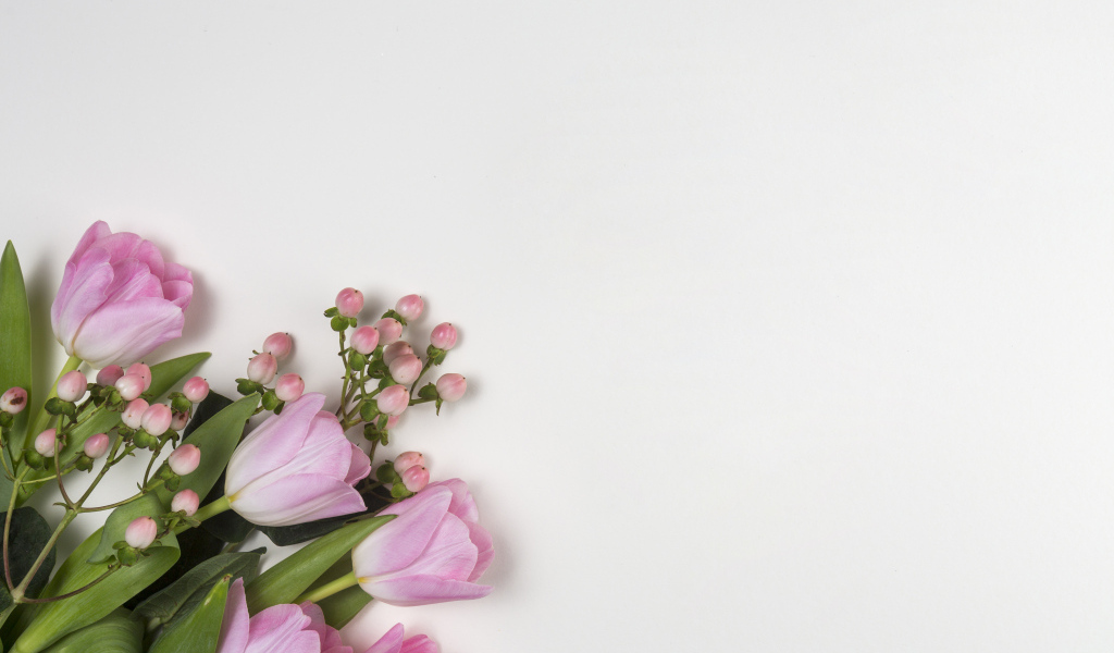 Розовые тюльпаны на сером фоне, шаблон для открытки