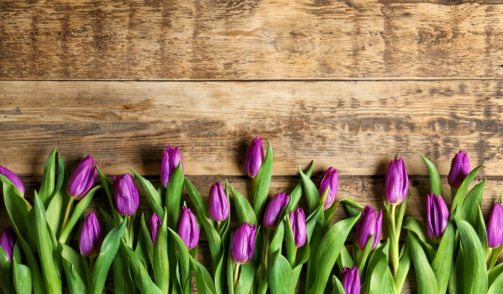 Фиолетовые тюльпаны на деревянном фоне