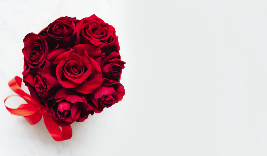 Красные розы в бантом из ленты на белом фоне