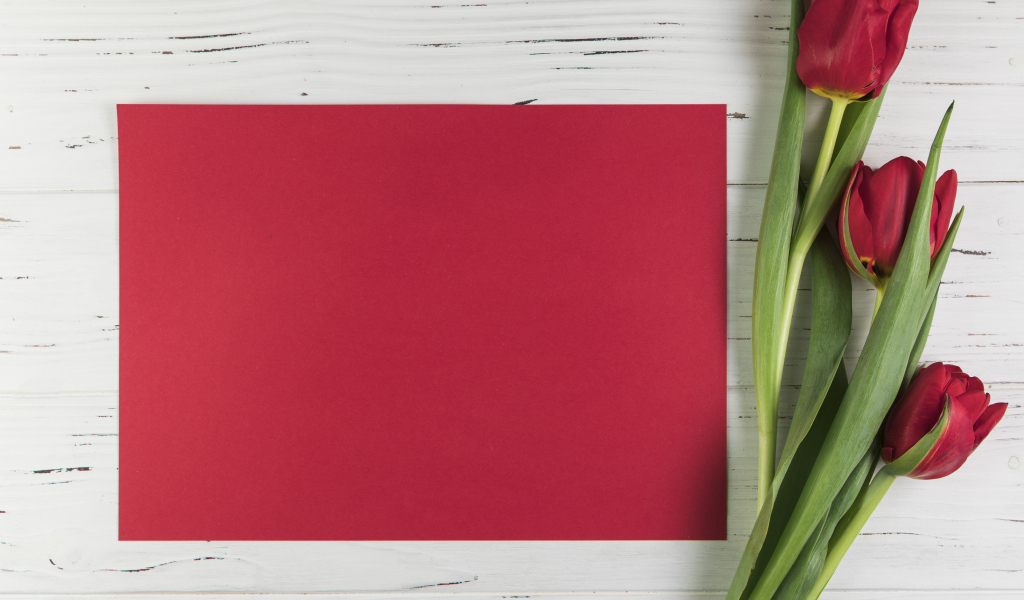 Красный лист бумаги с тюльпанами для шаблона поздравительной открытки