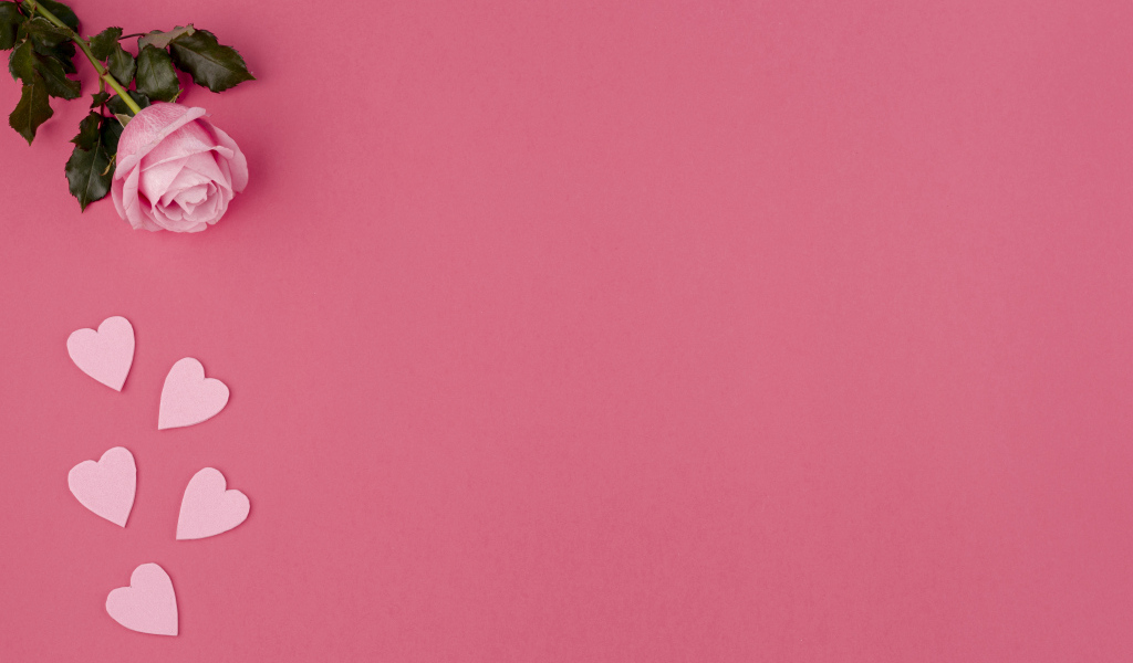 Роза с сердечками на розовом фоне, шаблон для открытки