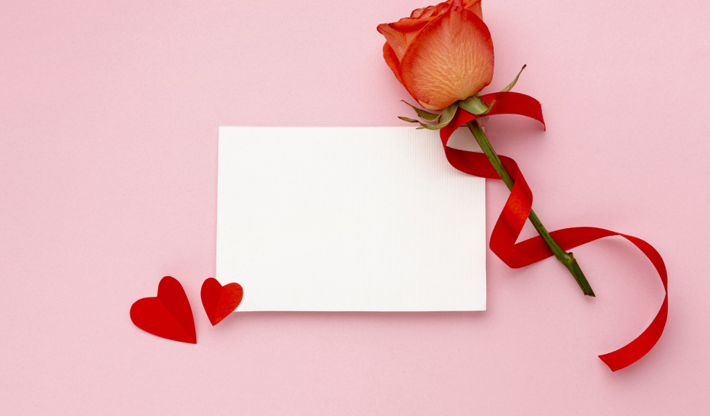 Роза с лентой и листом бумаги на розовом фоне, шаблон открытки