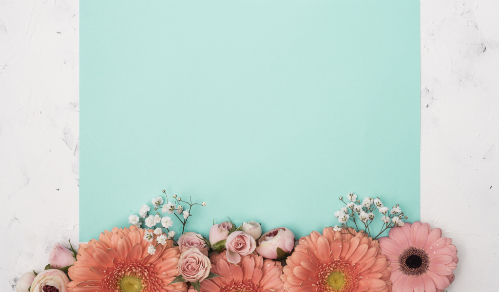 Лист голубой бумаги для фона с цветами розы и герберы