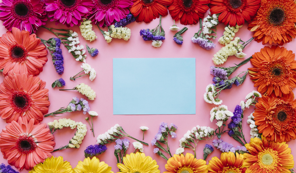 Лист бумаги и герберы на розовом фоне, шаблон