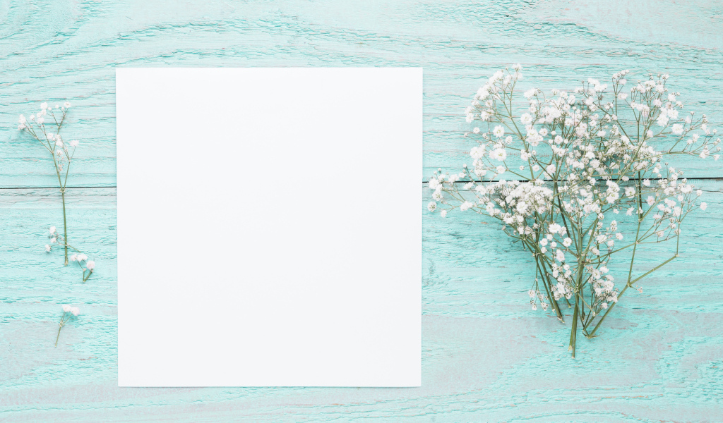 Лист бумаги с белыми цветами гипсофилы на голубом столе