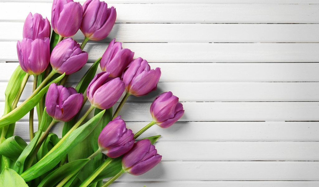 Тюльпаны на белом деревянном фоне