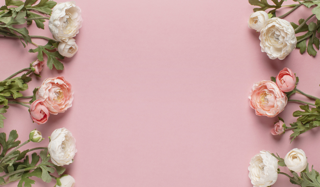 Белые и розовые лютики на розовом фоне, шаблон 