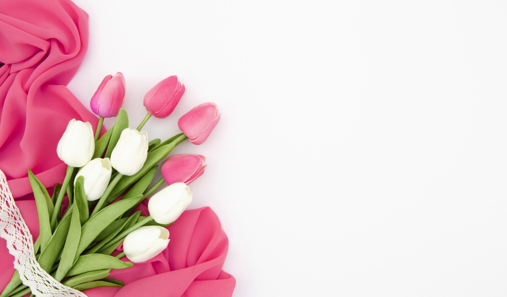 Белые и розовые тюльпаны с тканью на белом фоне, шаблон 