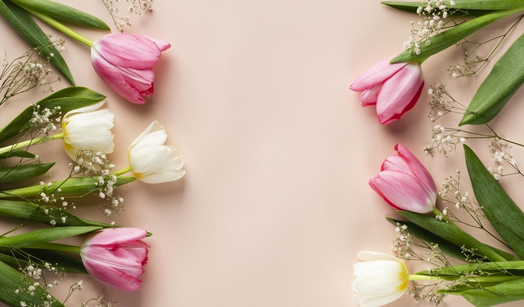 Белые и розовые тюльпаны с цветами гипсофилы на розовом фоне