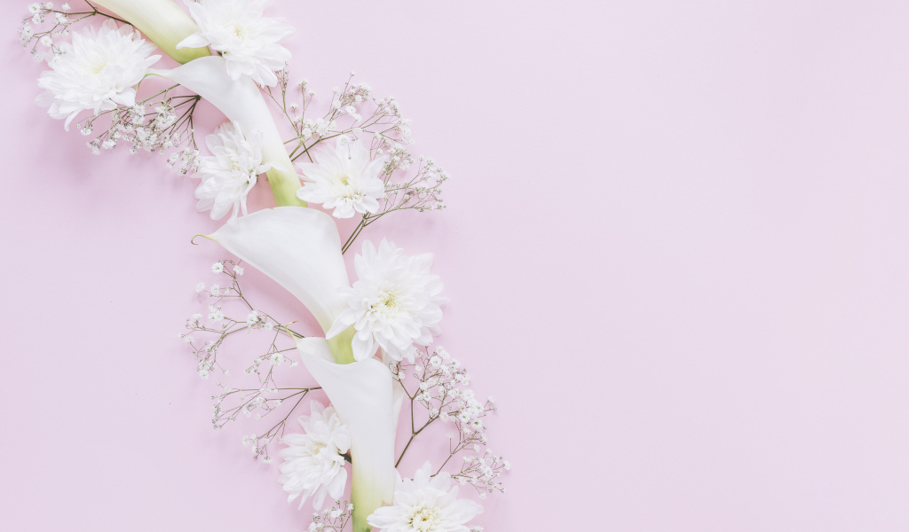 Белые цветы каллы и хризантемы на розовом фоне