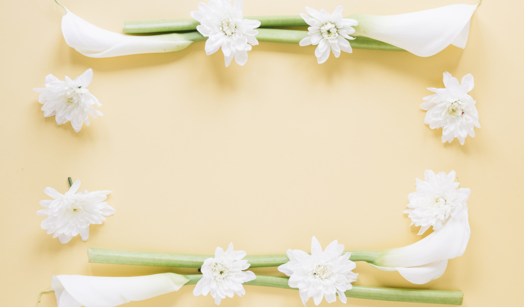 Белые каллы с хризантемами на желтом фоне