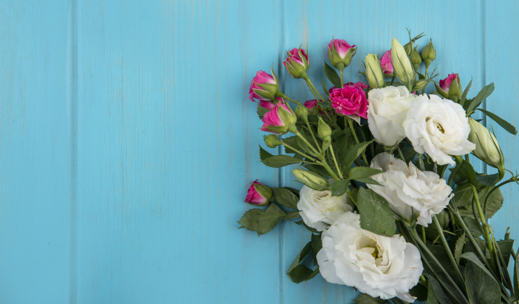 Белые цветы эустомы с розовыми розами на голубом фоне