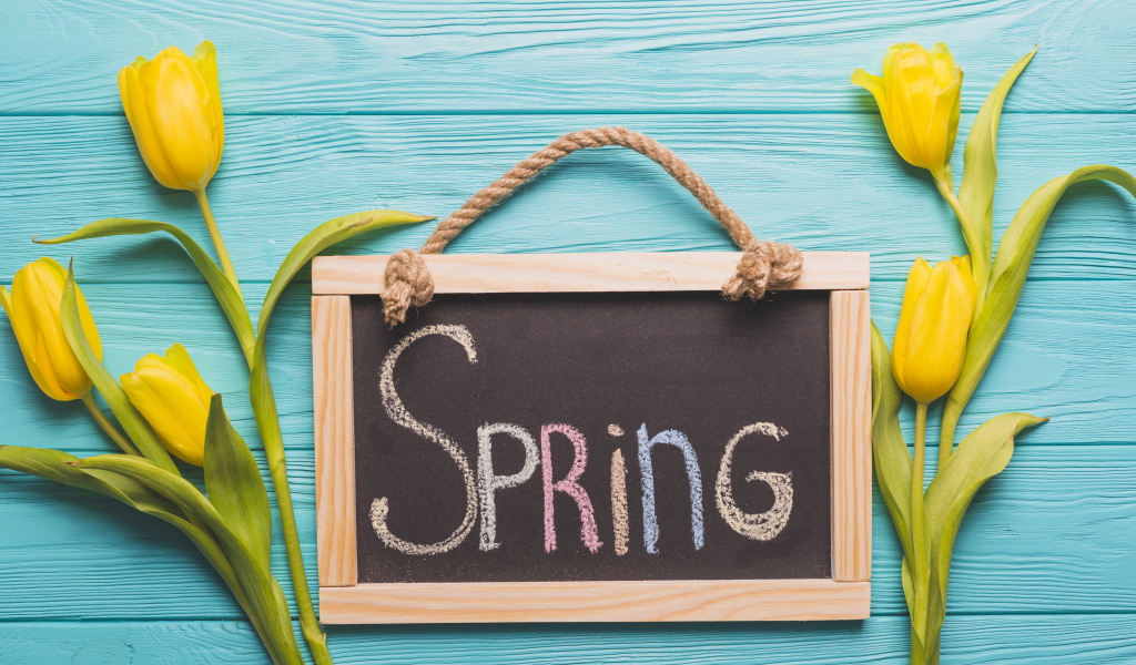 Желтых тюльпаны на голубом фоне с рамкой с надписью весна