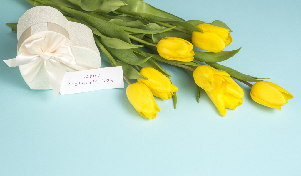 Желтые тюльпаны с подарком на голубом фоне на день матери