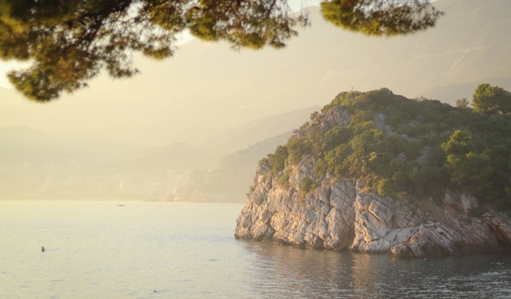 Скала покрытая зеленью на берегу океана